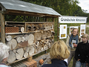 Wildbienenhaus am Bienenlehrpfad