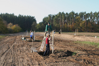 Aktion Streuobstwiese in Ottensoos